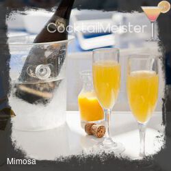 Mimosa